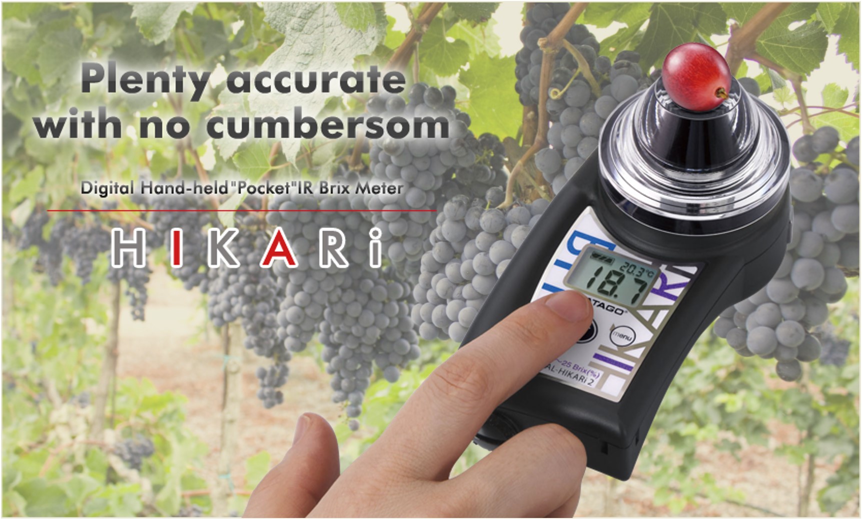 ATAGO_HIKARI_2_Grape