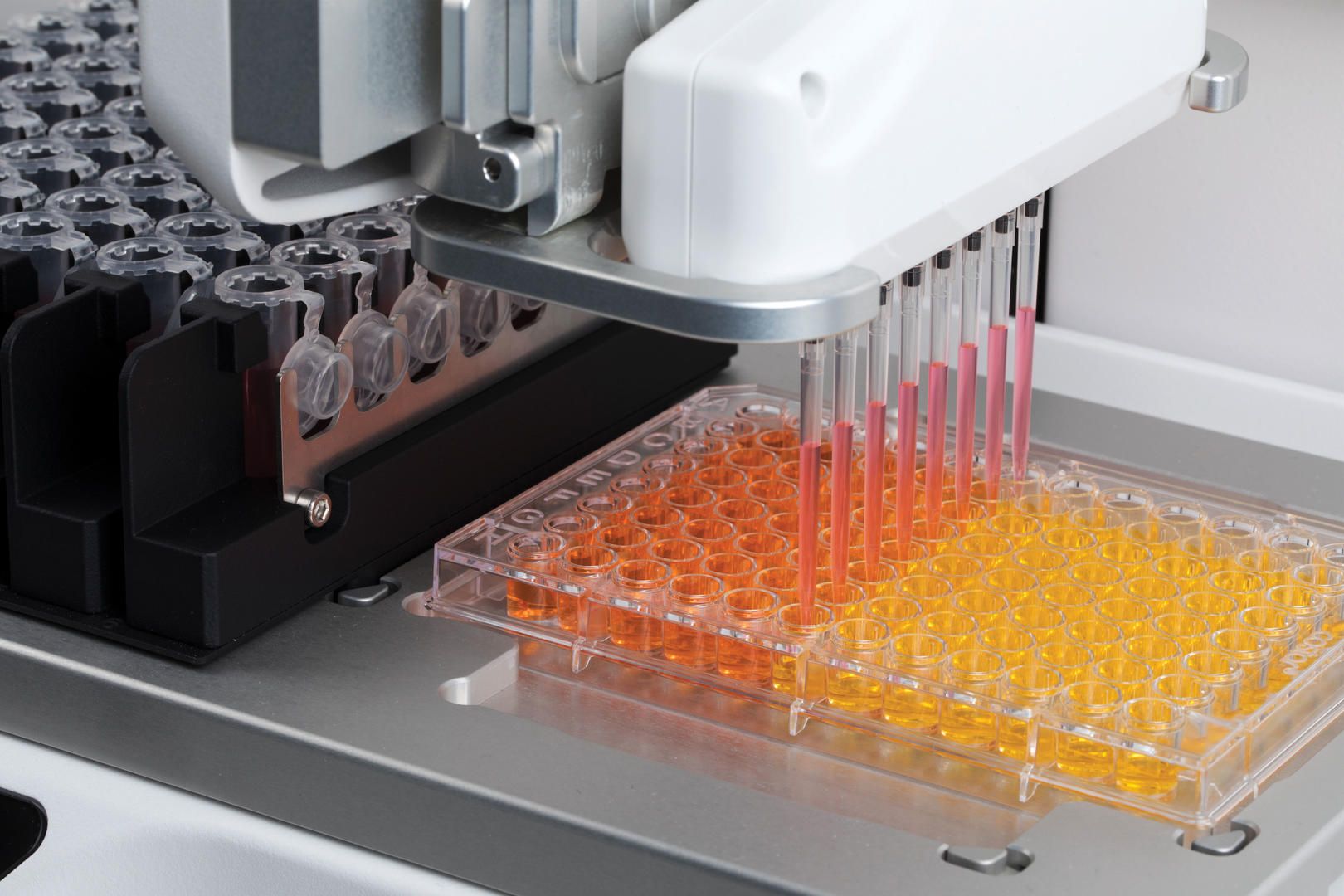 Integra-assist-plus-pipetting-robot-reformatting-2